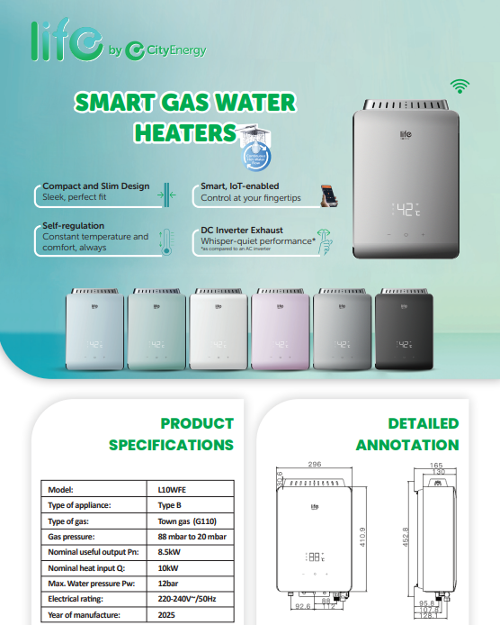 Smart Gas Water Heater L10WFE product specifications and detailed product annotations. 