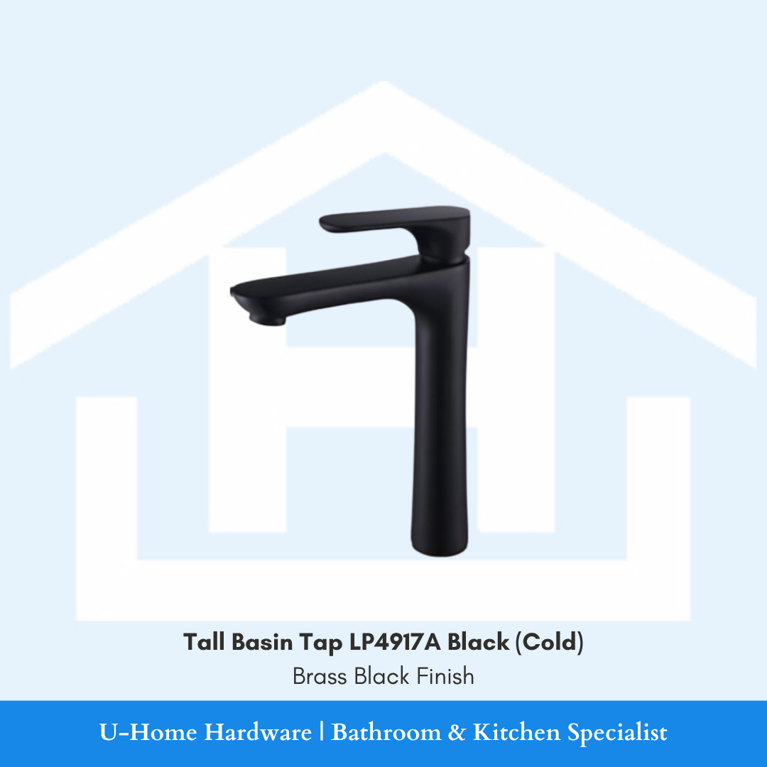  LP4917A tall basin cold tap featuring a vertical cylindrical body and a premium matte black finish