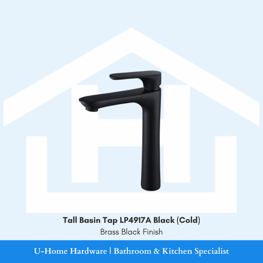  LP4917A tall basin cold tap featuring a vertical cylindrical body and a premium matte black finish