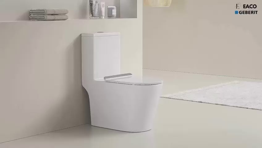 EACO T988 One Piece Toilet Bowl (Tornado Flush) – U-Home Hardware